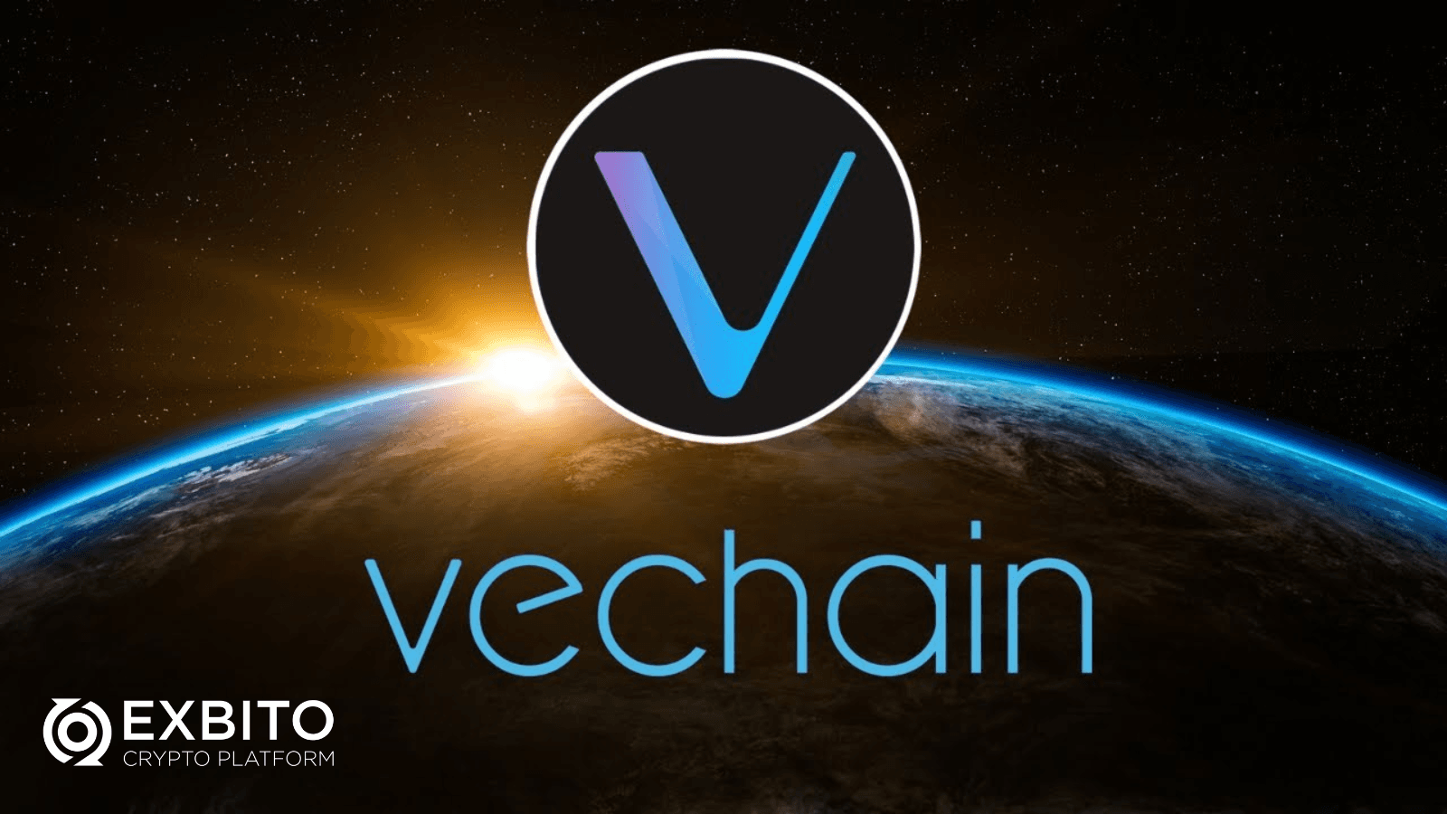 نمونه‌هایی از نحوه استفاده از VeChain.png