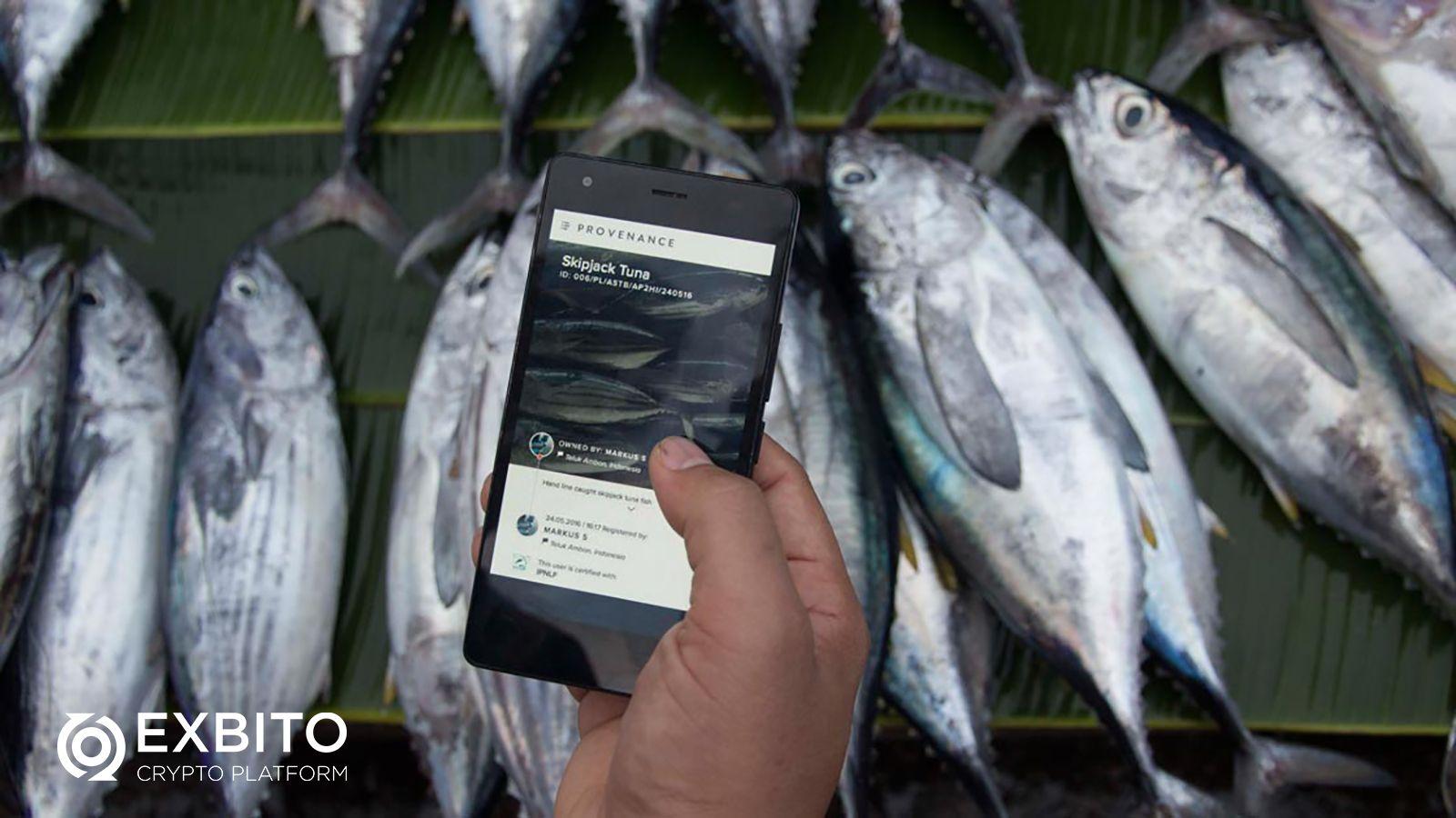 صید ماهی سالم همراه با تکنولوژی بلاکچین