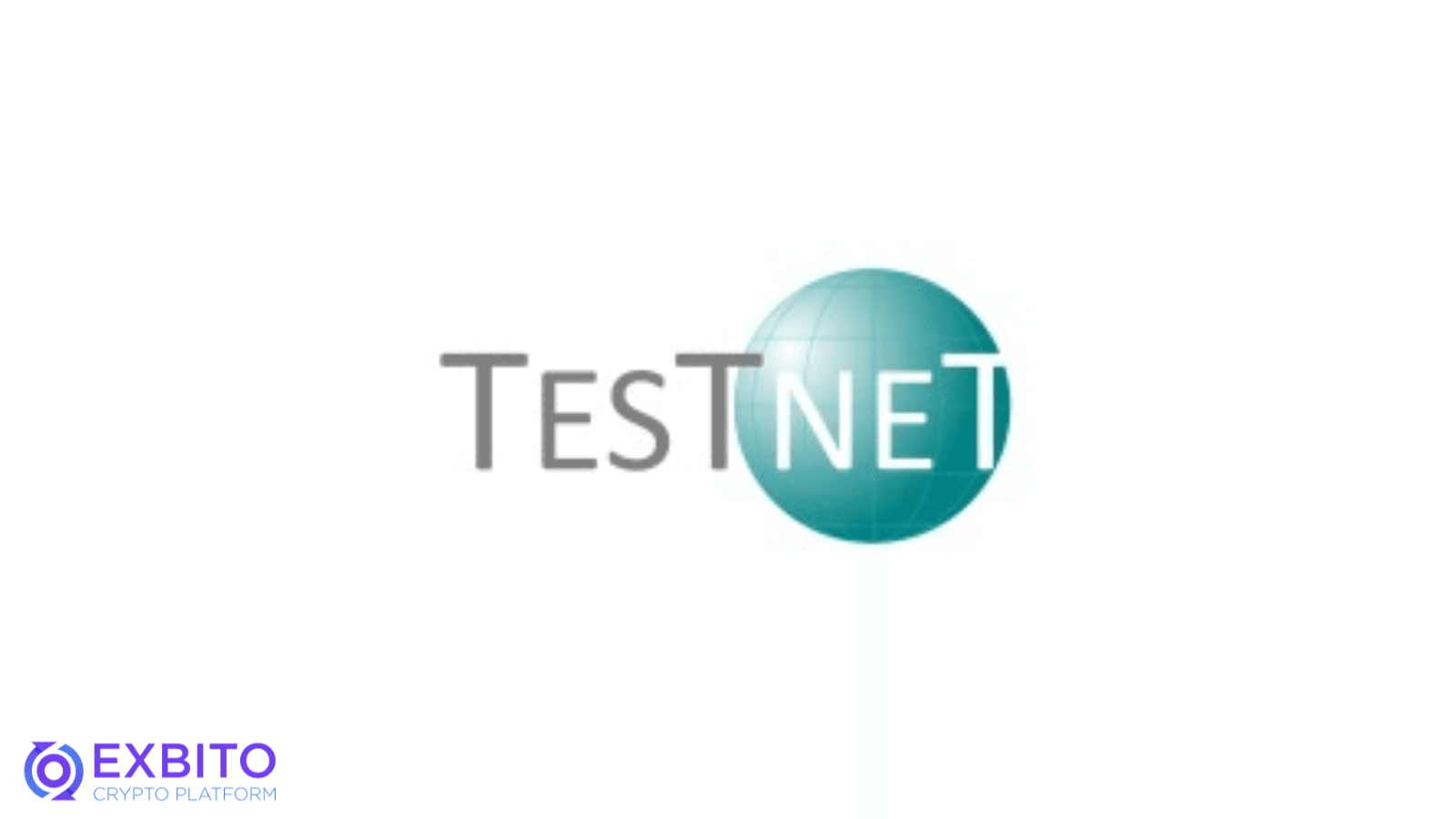 اهمیت تست نت (Testnet) چیست؟