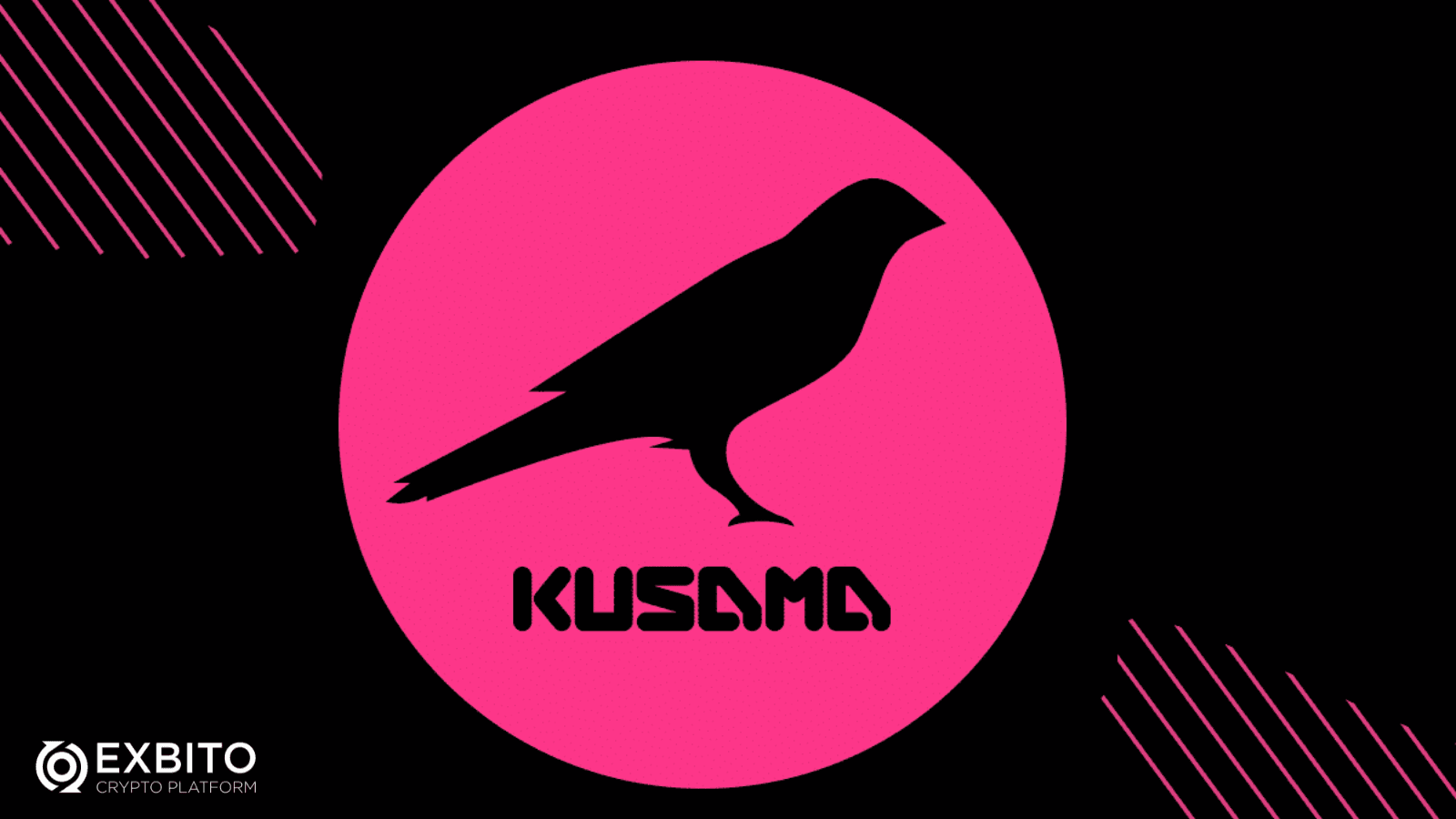  اکوسیستم کوزاما (The Kusama ecosystem)