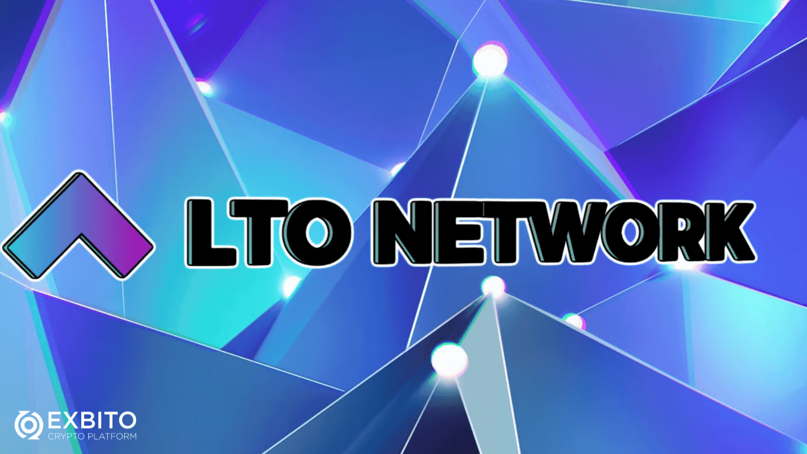 ال تی او نتورک (LTO Network) چگونه کار می‌کند؟