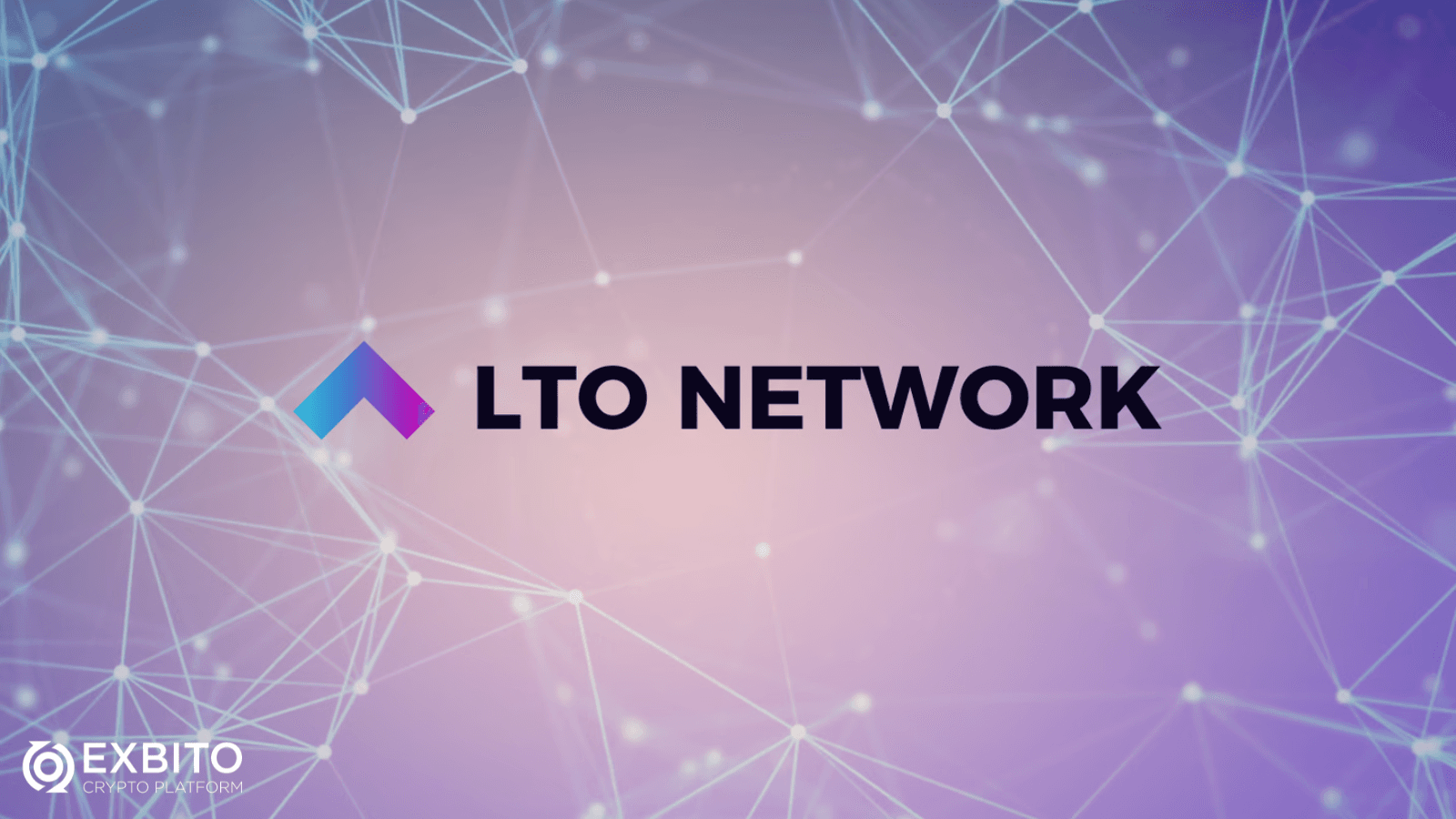  ال تی او نتورک (LTO Network) چیست؟