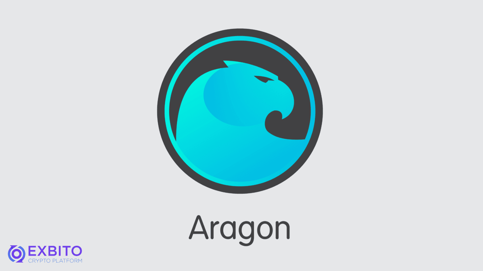 آراگون (Aragon) چیست؟