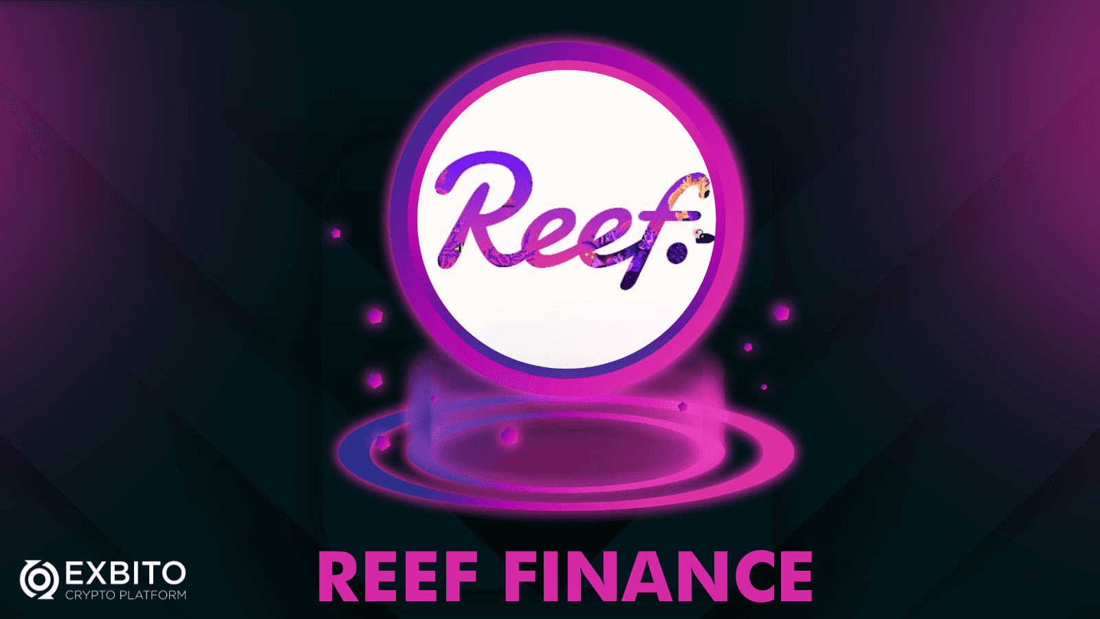 ارزش ریف فایننس (Reef Finance) از کجا ناشی می‌شود؟