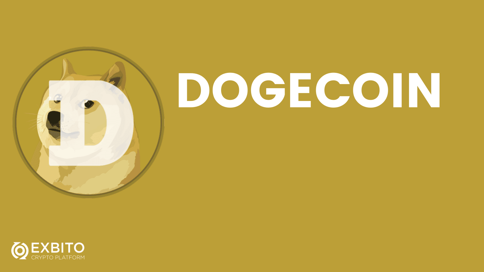دوج کوین (DOGE) چگونه رمز ارزی است؟