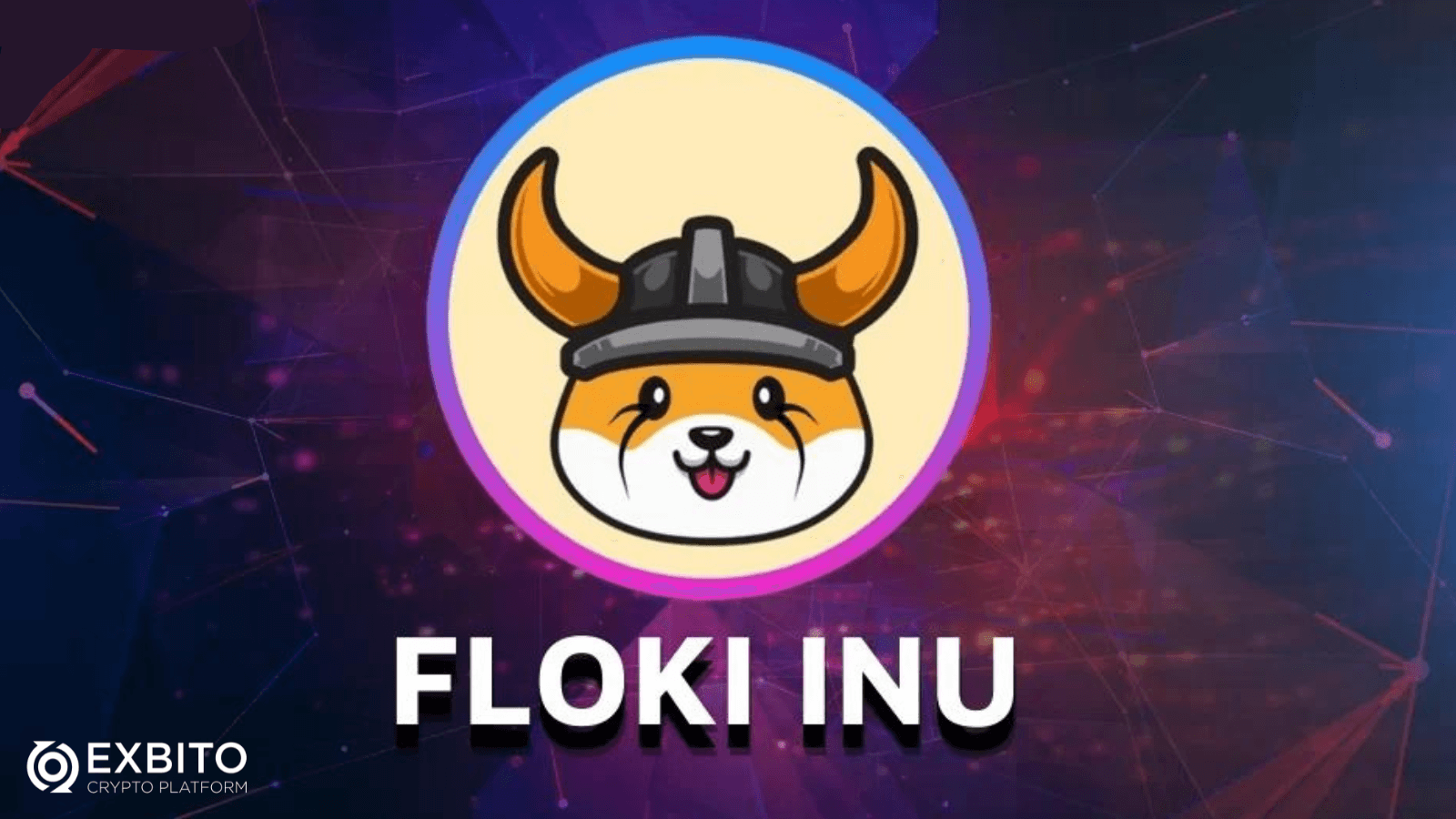 فلوکی اینو (Floki Inu) چیست؟