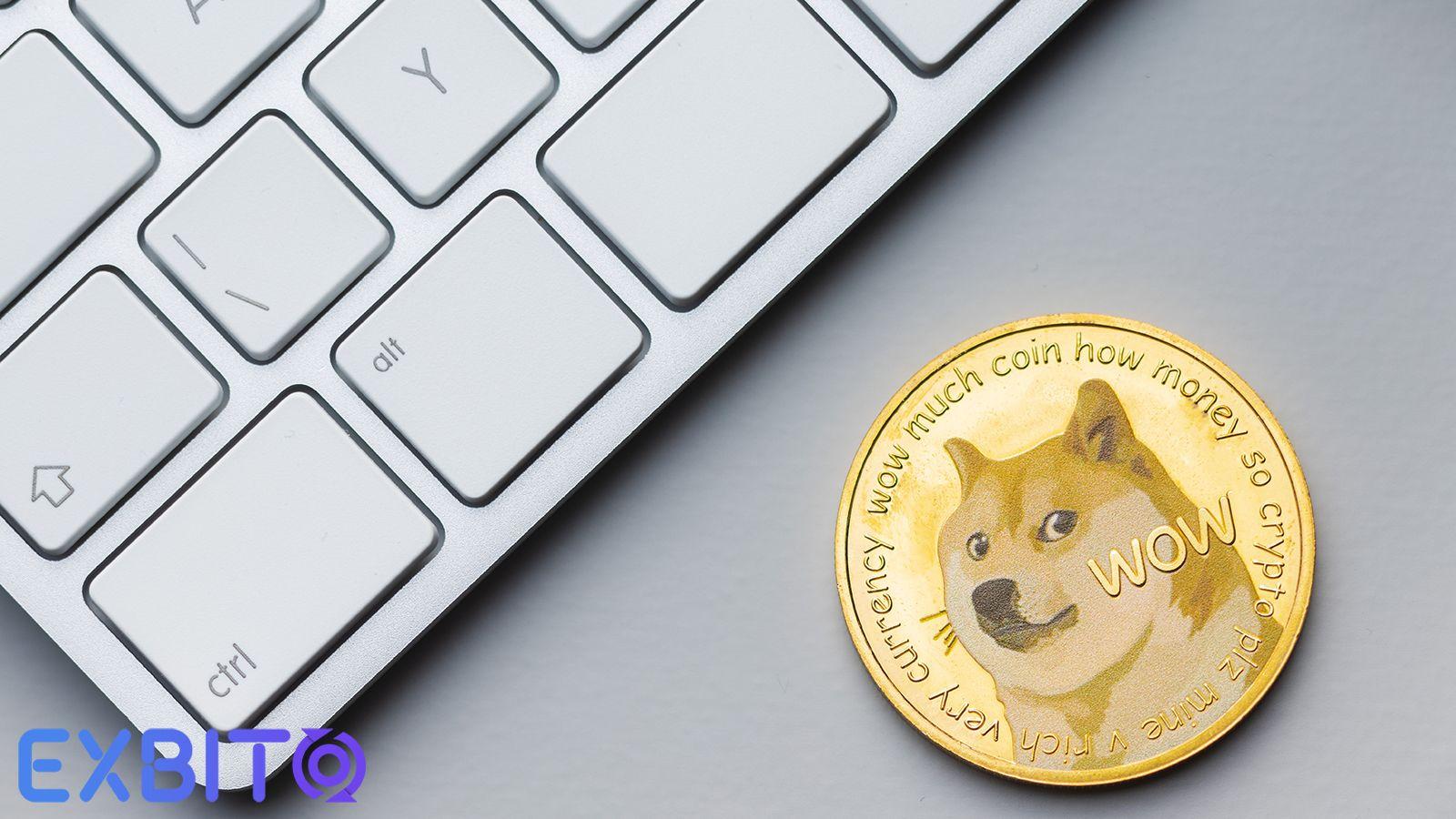 The Difference Between Baby Dogecoin And Dogecoin