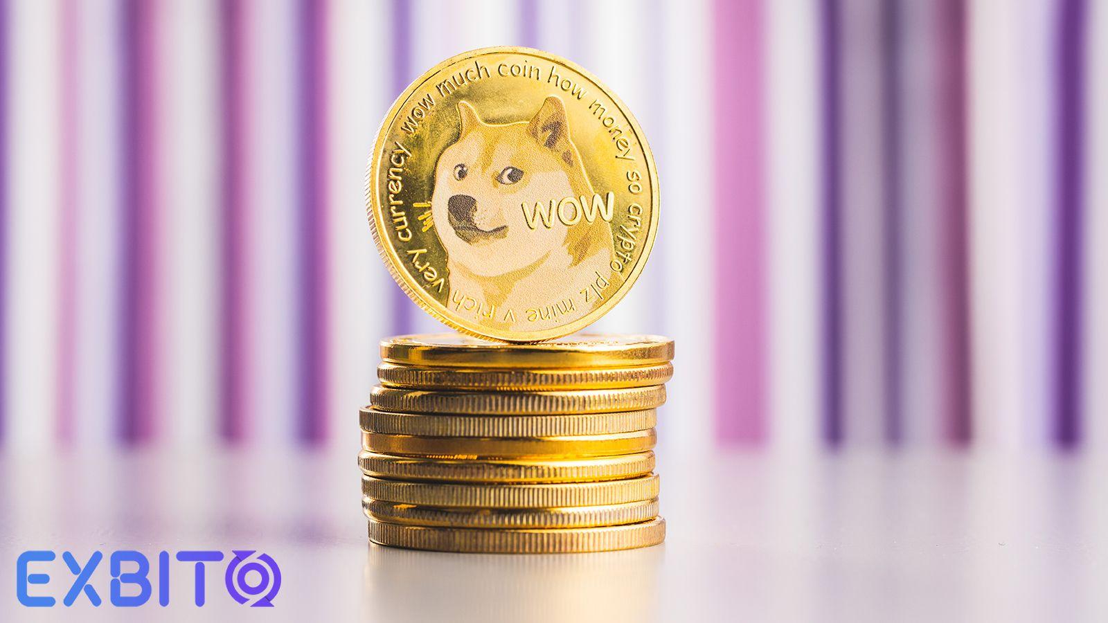 The Difference Between Baby Dogecoin And Dogecoin
