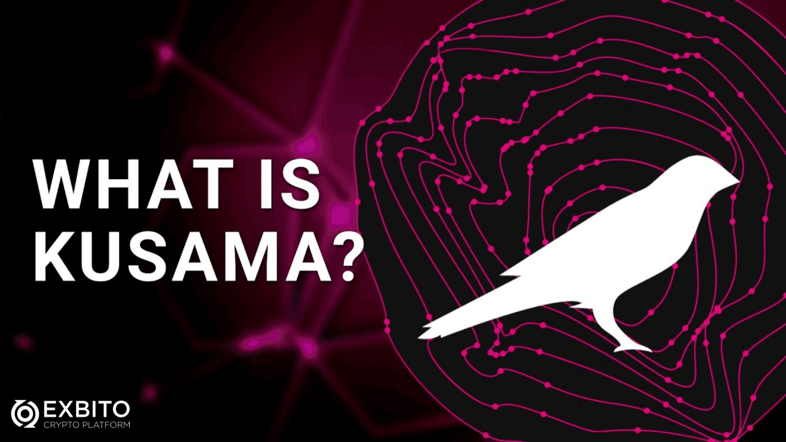 کوزاما (Kusama) چیست؟
