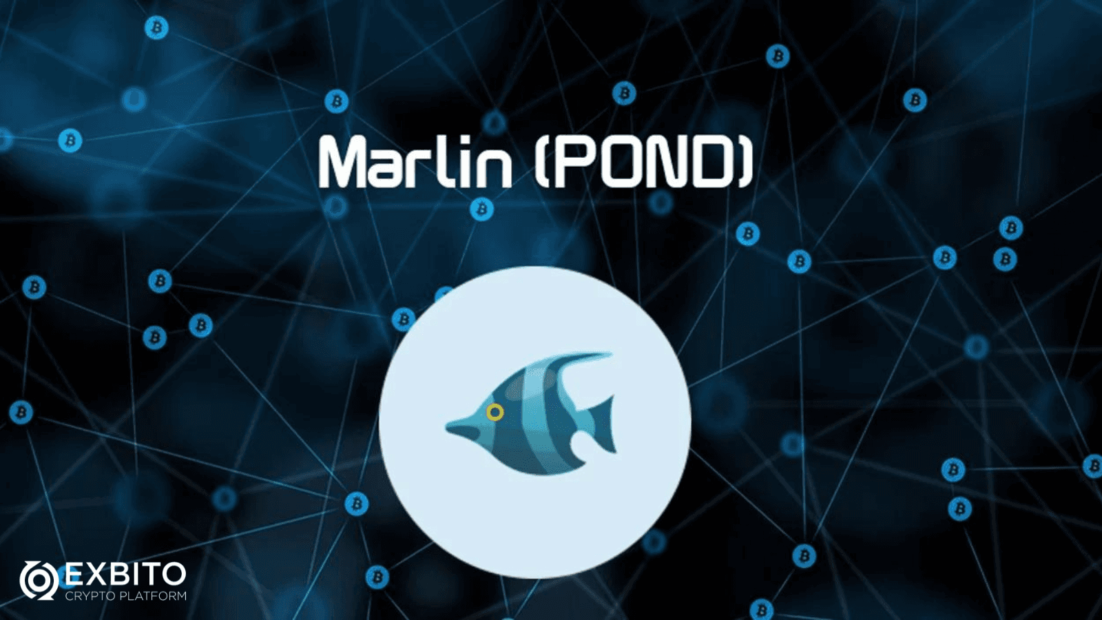 کیت توسعه نرم‌افزار مارلین (Marlin SDK)