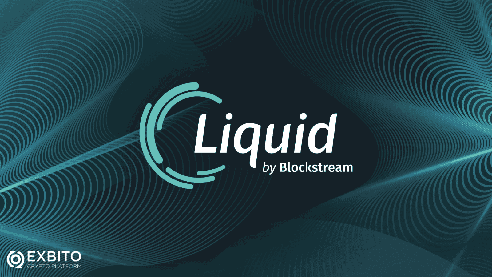 لیکوئید (Liquid)