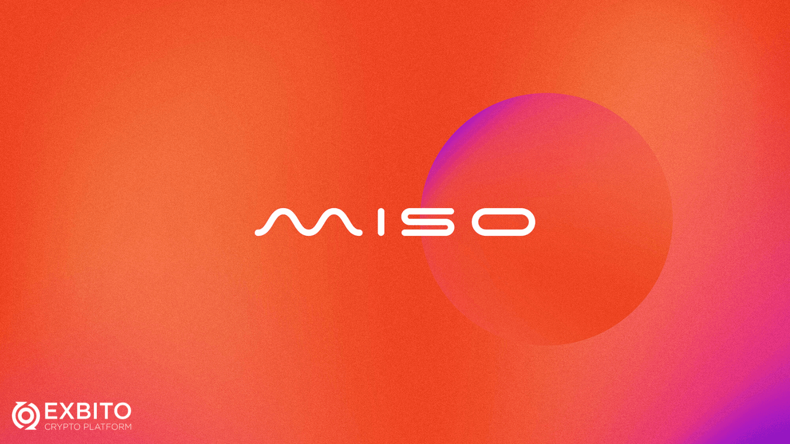 میسو (Miso)