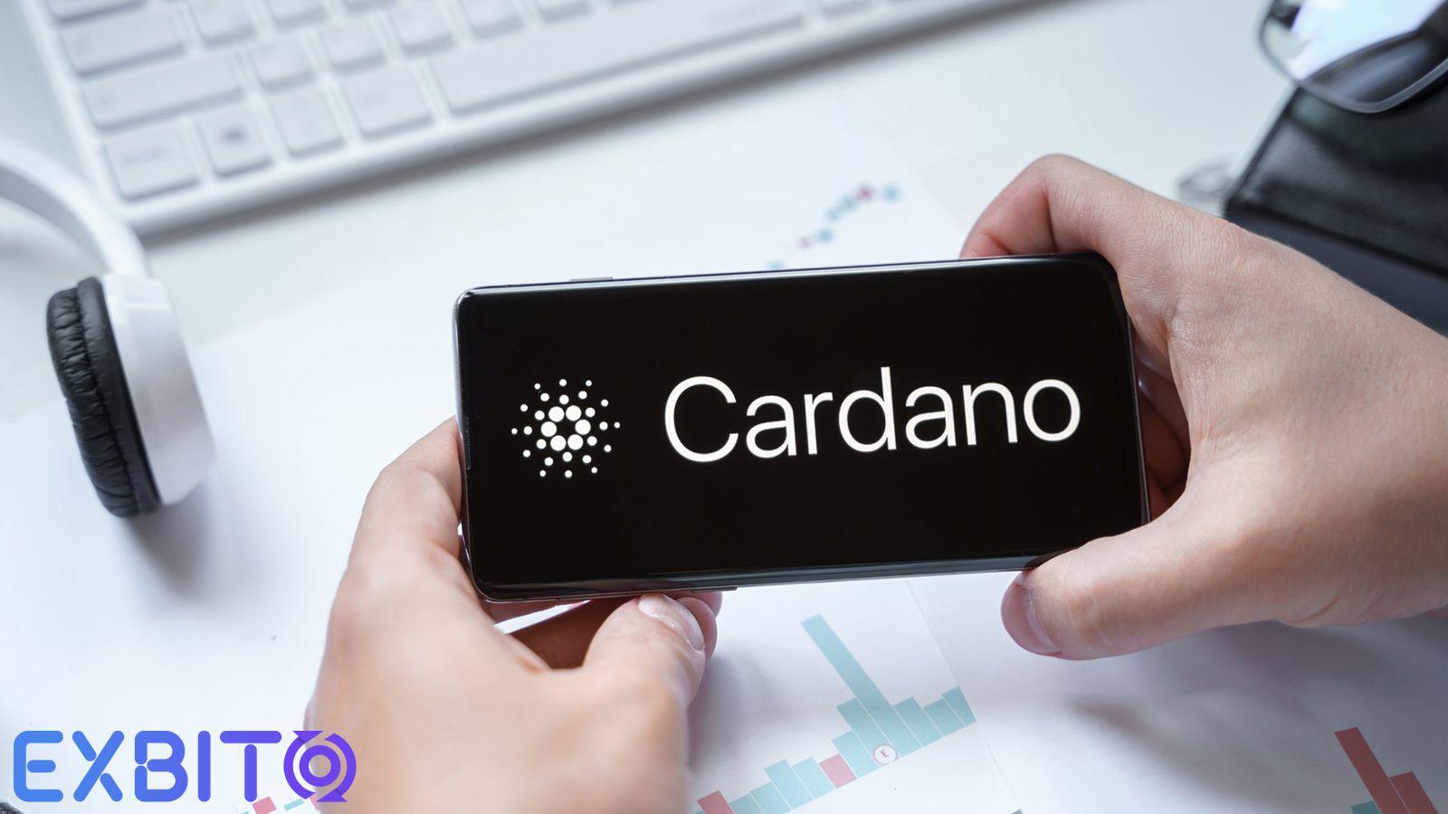 what is cardano wallet