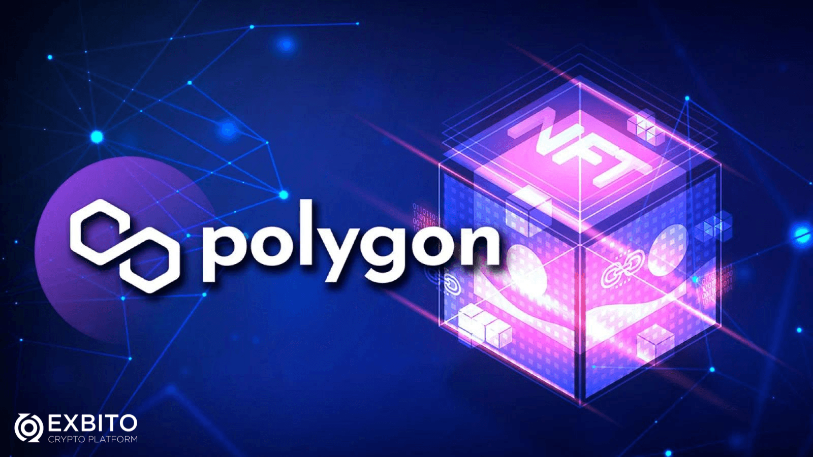  سرویس‌های ارائه‌شده توسط پالیگان (Polygon) کدامند؟