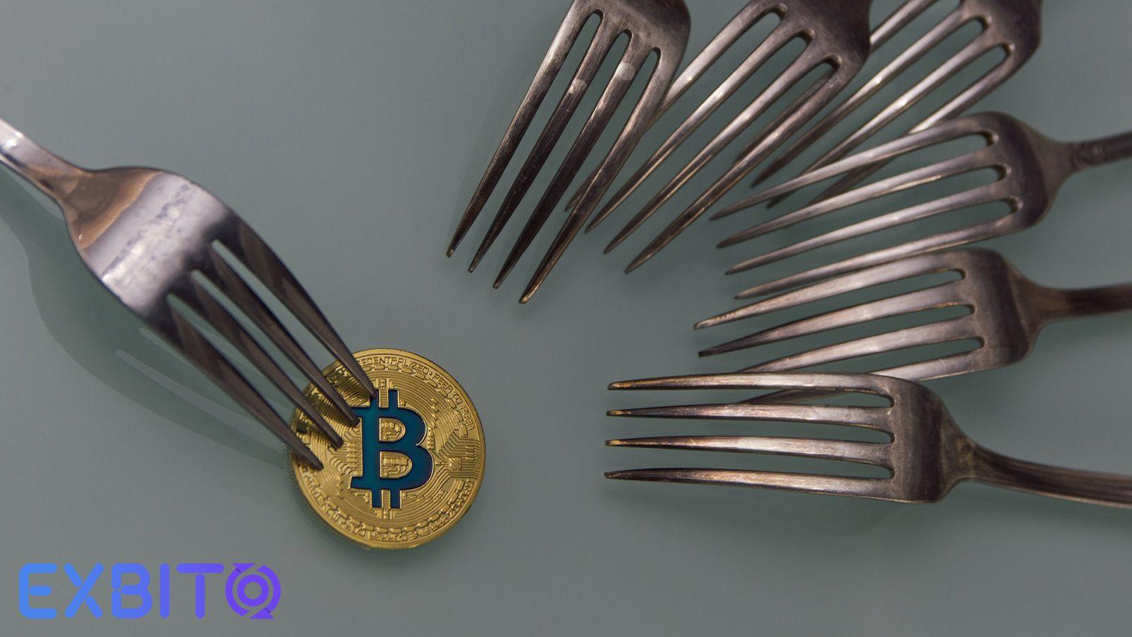 The difference between hard forks and soft forks