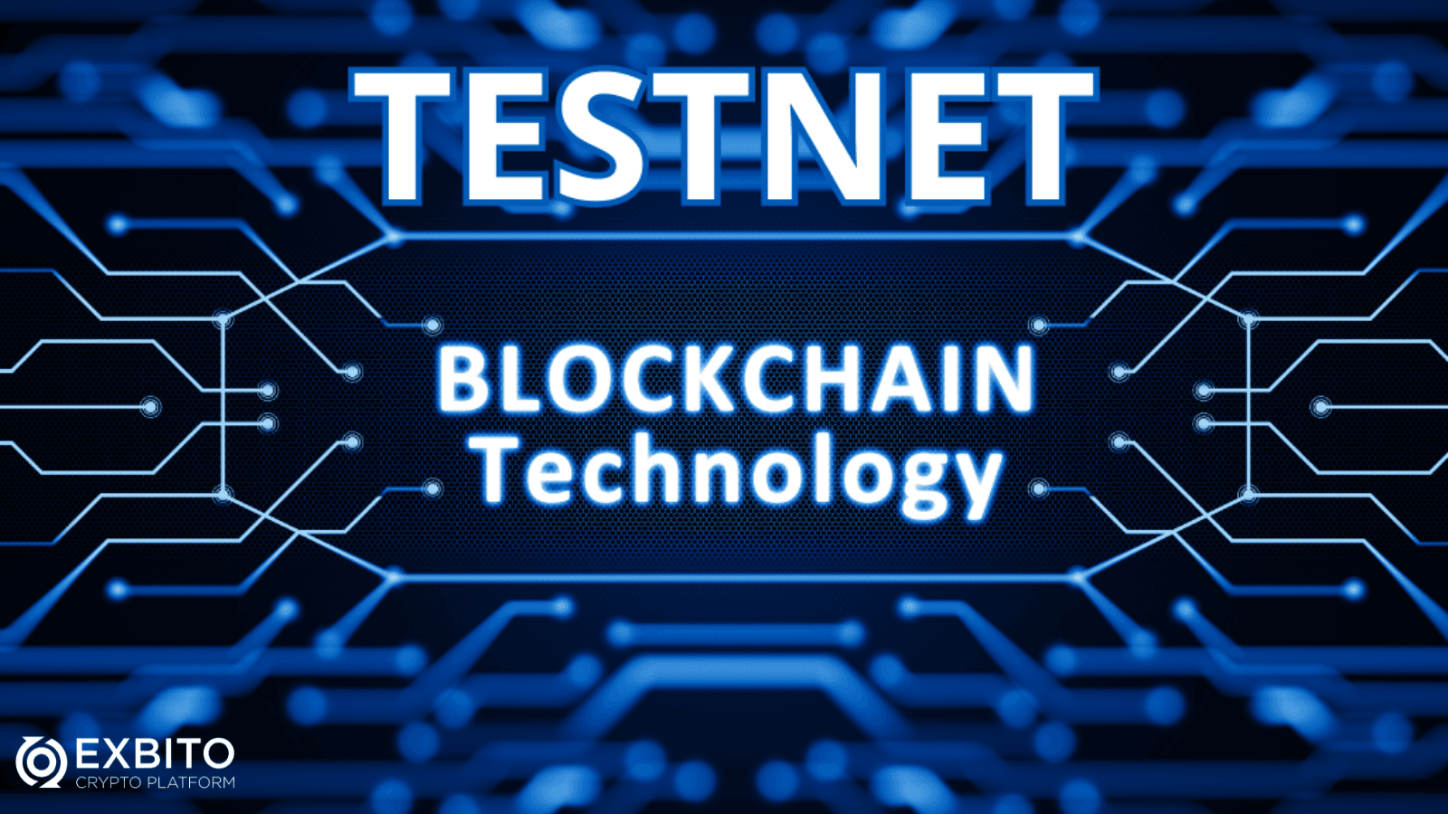 تست نت (Testnet) چیست؟