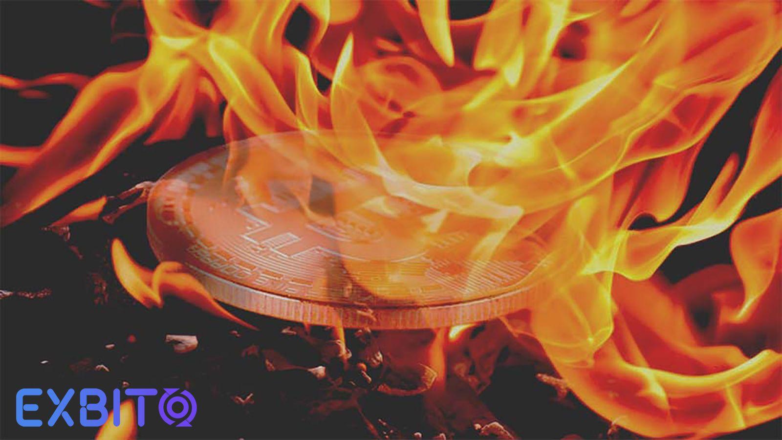 what-is-solana-token-burning